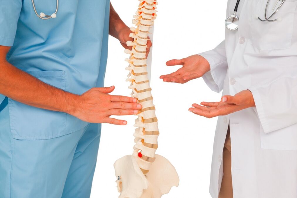 Den Dokter weist d'Struktur vun der Wirbelsäule op engem Modell